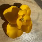 Amarilla medál - citromsárga