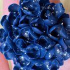 Sziromfelhő díszítésű medál - navy blue - ezüst