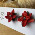 Pici mikulásvirág ezüst közepű