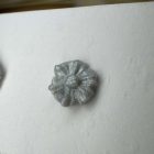 Mini virág bedugós fülbevaló - világos ezüst