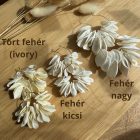 Shelly - fehér - arany karikán - kicsi