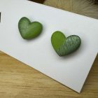 Szív bedugós fülbevaló - zöld átmenetes