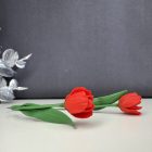 Piros tulipán - arany színű francia akasztós V alakú alapon 